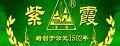 沁雅茗品霍山黃芽