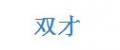 雙才拳擊沙袋