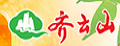齐云山若羌红枣