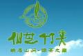仙芝竹尖峨眉山茶叶