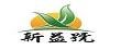 新益号老班章