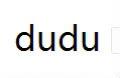 dudu鉑金包
