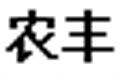 农丰土豆
