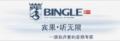 bingle插卡耳機