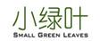 小綠葉銀手鐲