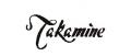 takamine電箱吉他