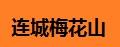 連城梅花山午子仙毫