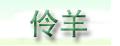 伶羊流蘇靴