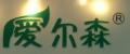 愛爾森
