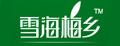 雪海梅乡