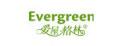 evergreen