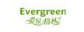 evergreen馬克杯